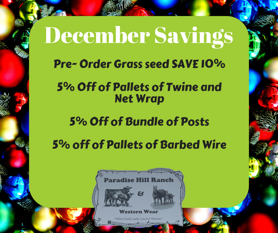 Don't Miss out on THIS!