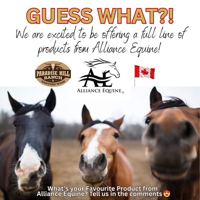 Now Supplying Alliance Equine