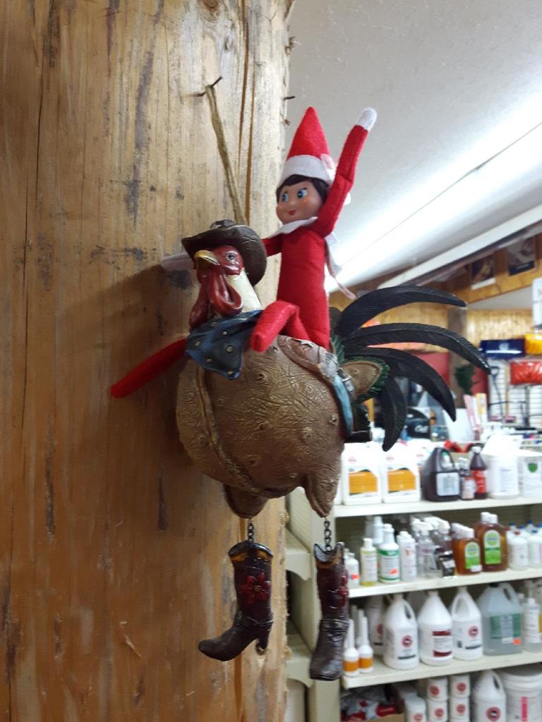 The Christmas Spirit!
