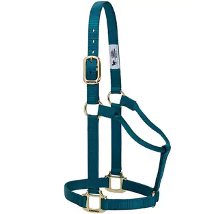 TK35-7005-Average-Teal Halter Original Non-Adjustable