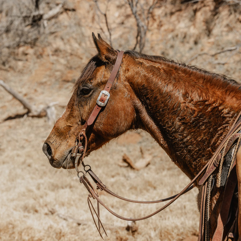 TK10104--Floral Headstall Split Ear 1" STS