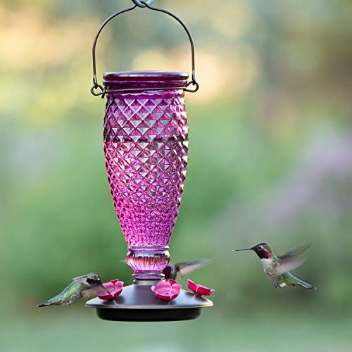 HG851207D Hummingbird Feeder Diamond Wine 24oz