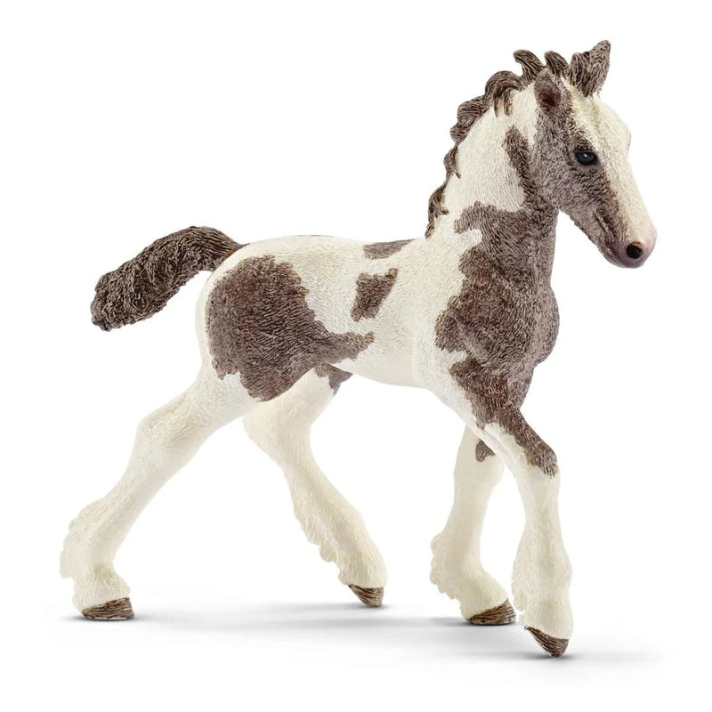 BG13774 Tinker Foal