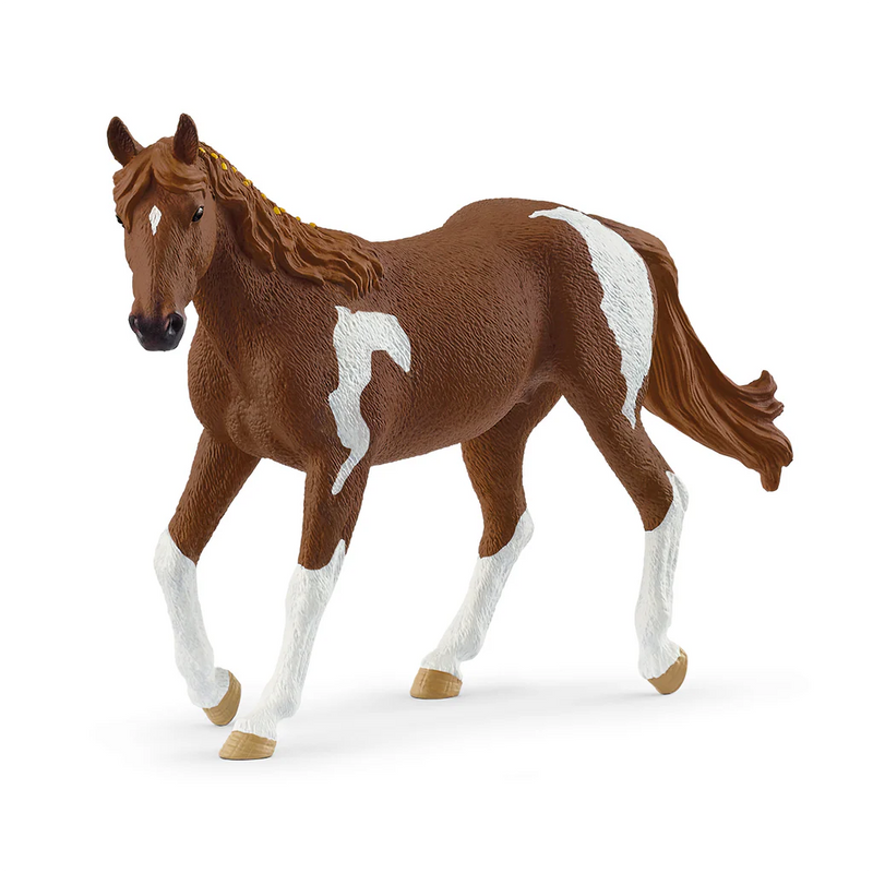 BG14901 Paint Mare
