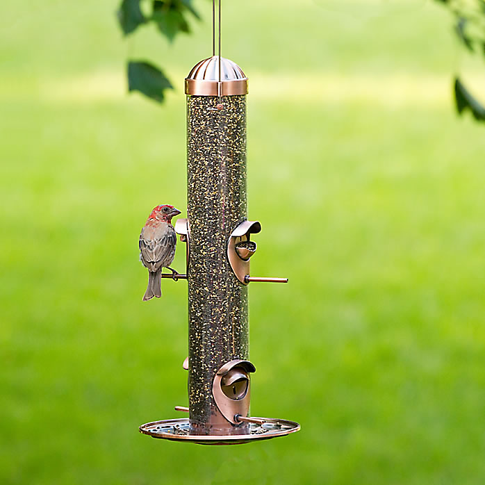 HG851023D 2-IN-1 Wild Bird Feeder Copper