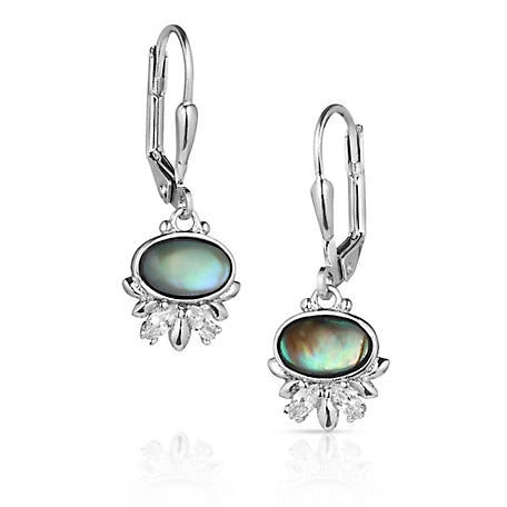 BGER5770 Earrings - Aura Lights CZ