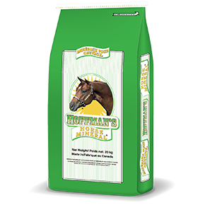 FSHOFFMANS20 Hoffmans Horse Mineral 20kg BAG