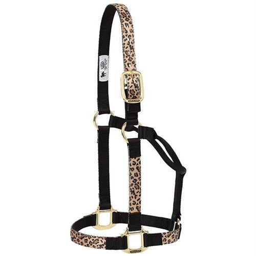 TK35-6781-Average-Leopard Halter Patterned Non-Adjustable