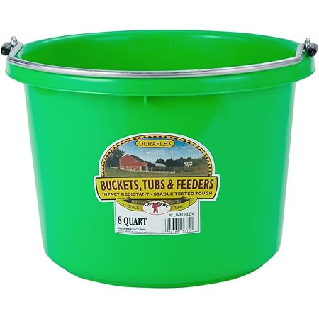 AC115-5-Lime Bucket 8qt Round P8