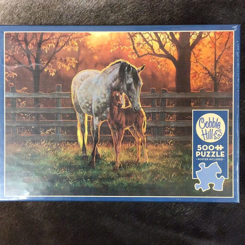 BG45002 500pc Puzzle "Quiet Time"