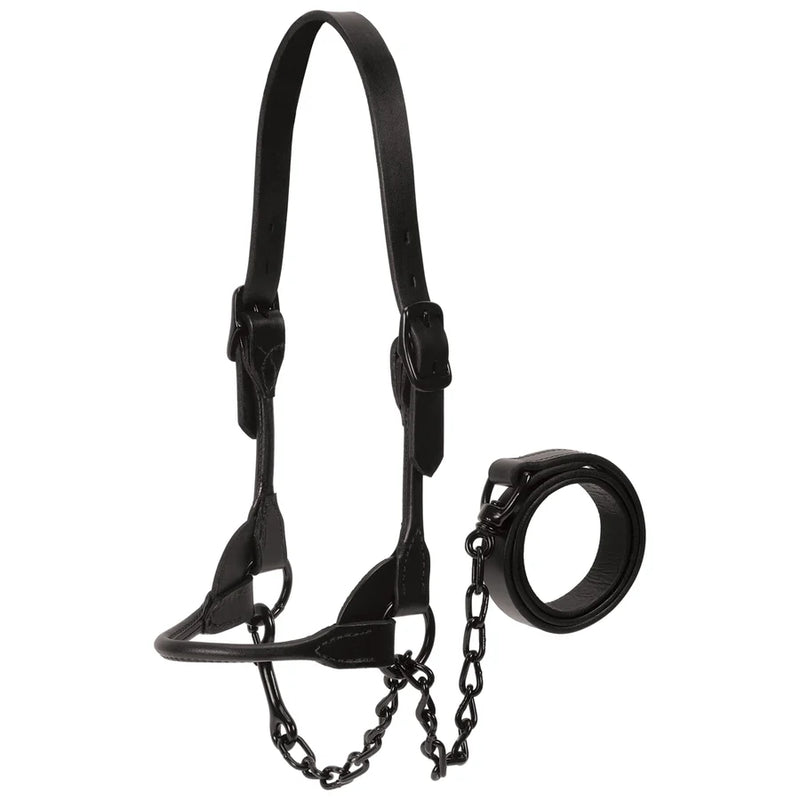 AC80401-60 Halter Leather Black Magic Show-LG(1400-1650)
