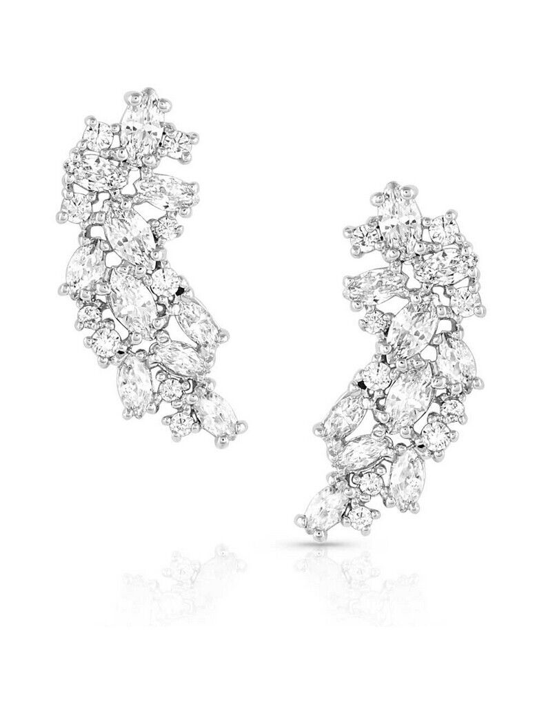 BGER5513 Earring " Shimmering Display"