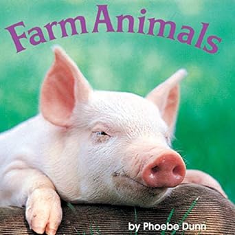 BG102-0158 Book - Farm Animals - A Mini Chunky Book