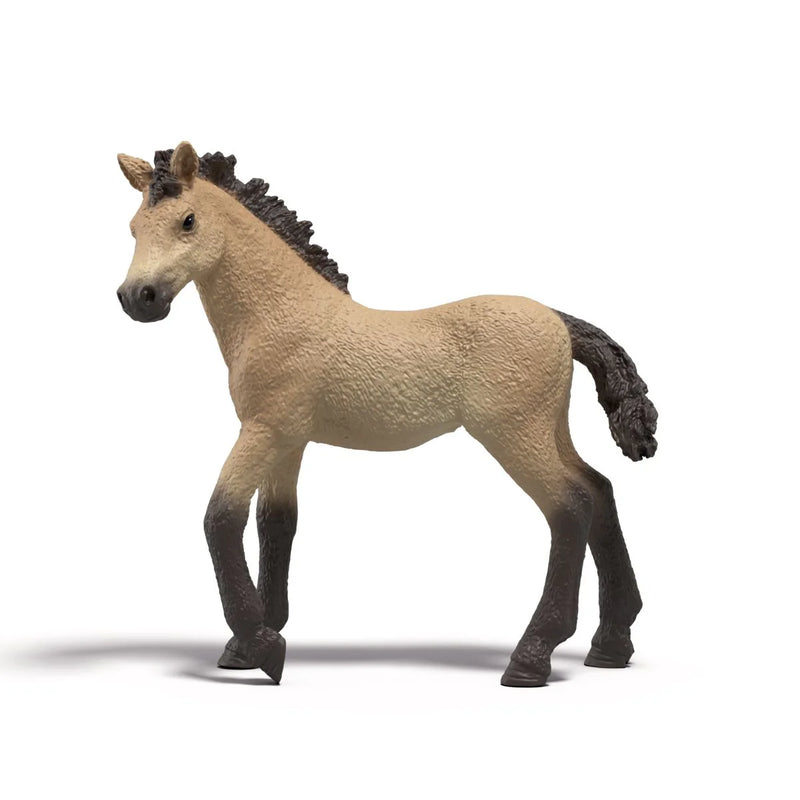 BG77707-Delilah Horse Club Foals