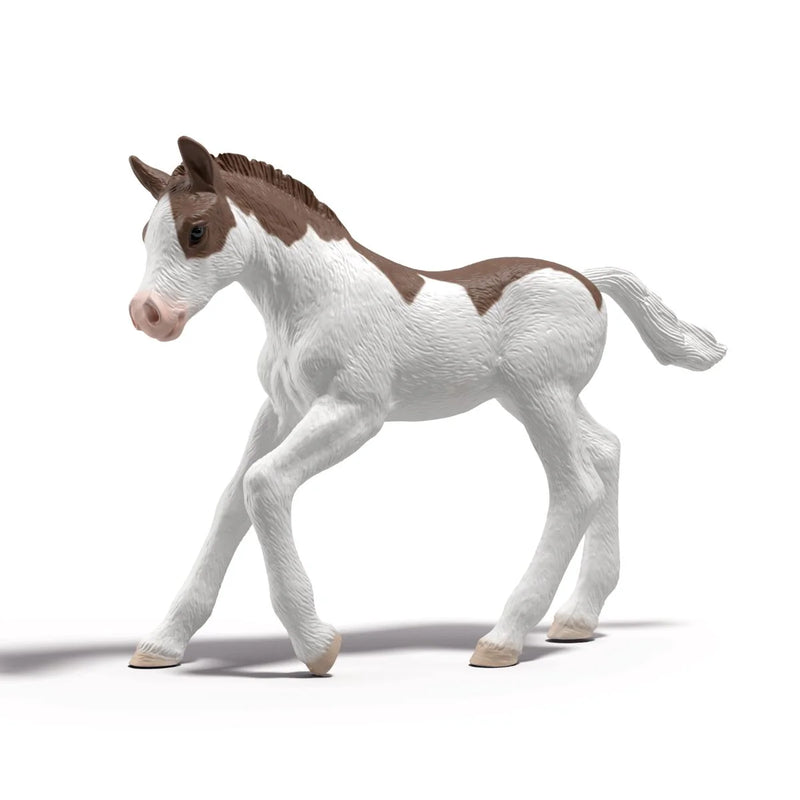 BG77707-Dipper Horse Club Foals