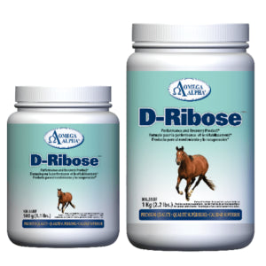 AC254718 Omega Alpha D-Ribose 500g