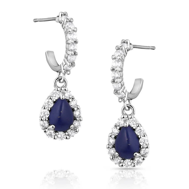 BGER5771 Earrings -Cherished Treasure