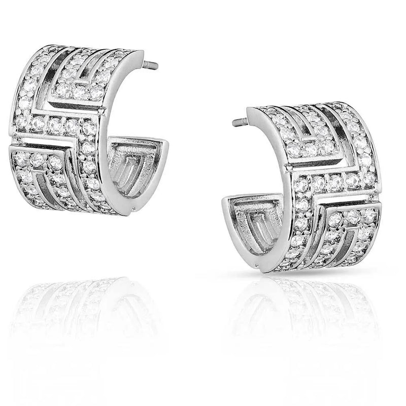 BGER5796 Earrings -Unpredictable Elegance