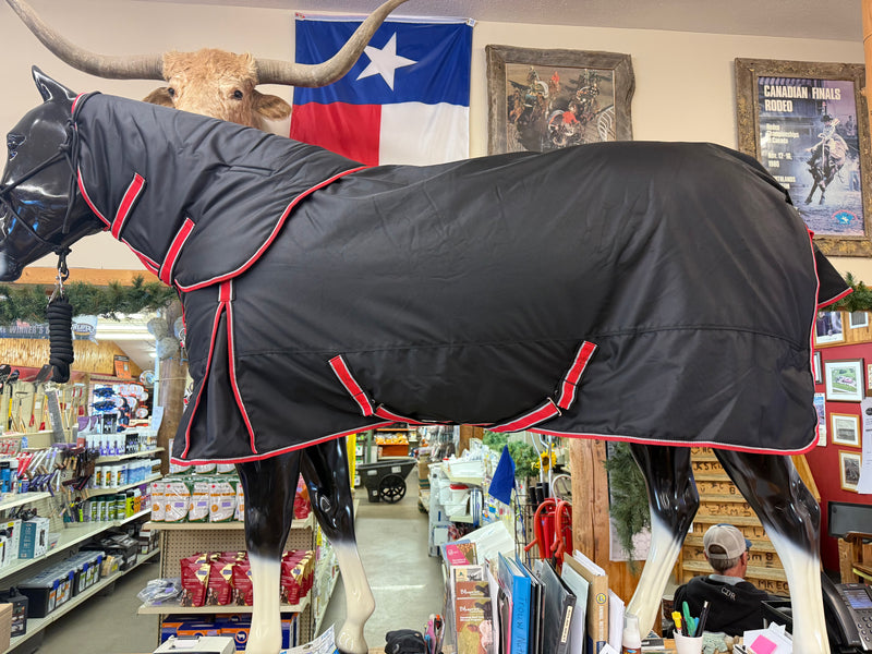 TKTO3065-72"-Blk/Red Blanket Winter 350gm Turn Out w/ Detatched Neck