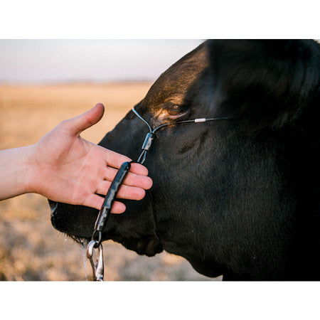 ACPHAN2 Halter Phantom w/ Ghost Grip