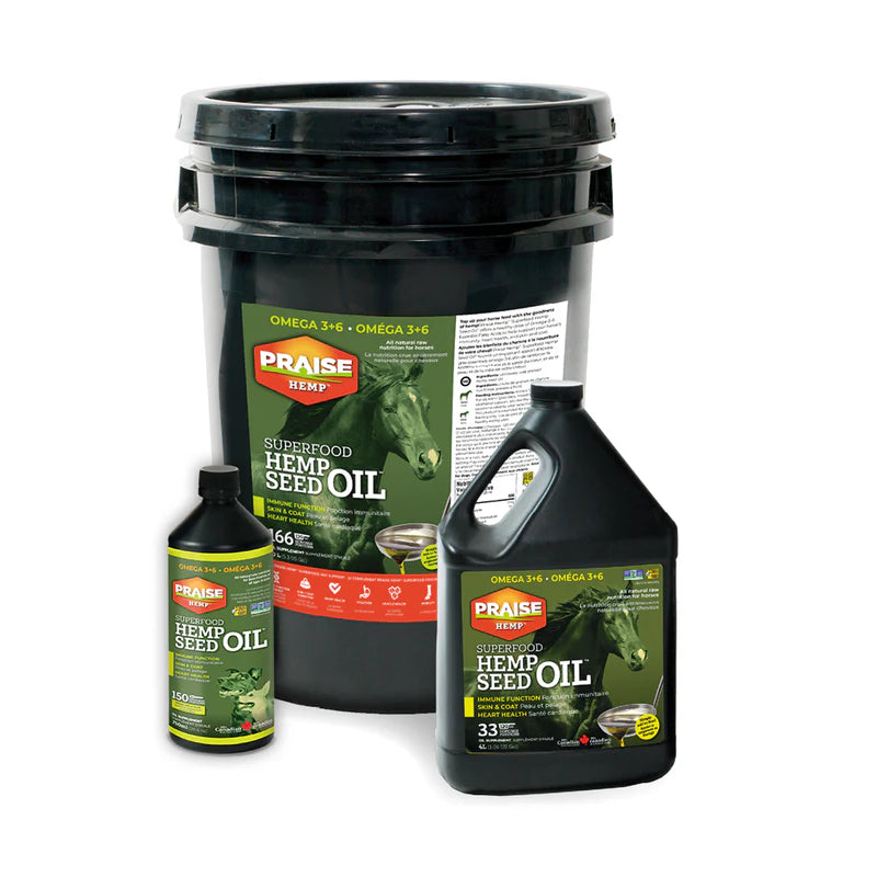 AC1016-497 Hemp Seed Oil- 20L