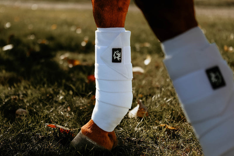 TKAE-POLO Alliance Equine Polo Wraps