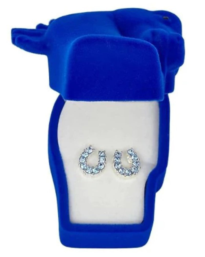 BGJE898 Horseshoe Earings - Various Colors