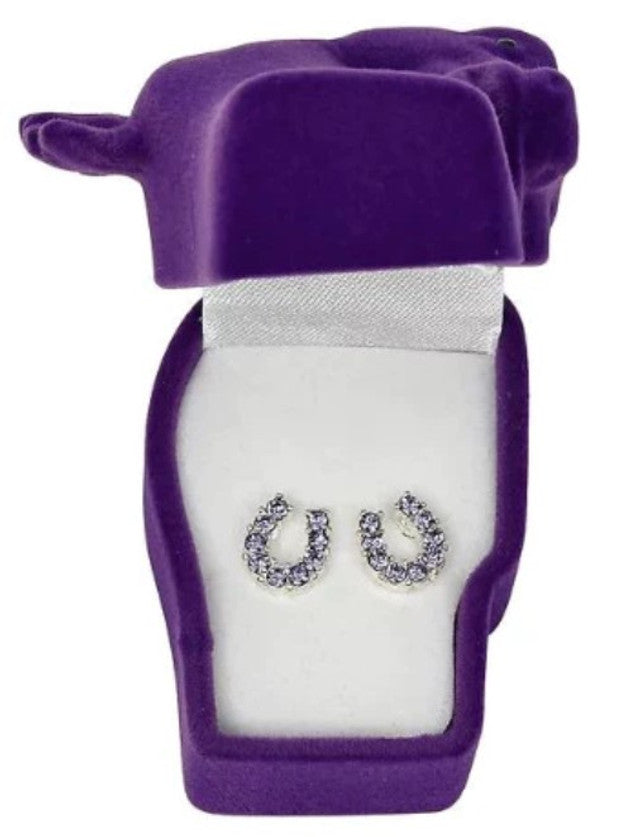 BGJE898 Horseshoe Earings - Various Colors