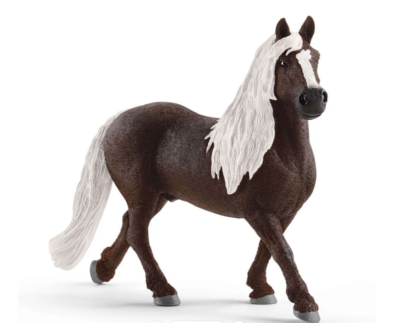 BG13897 Schleich Black Forest Stallion