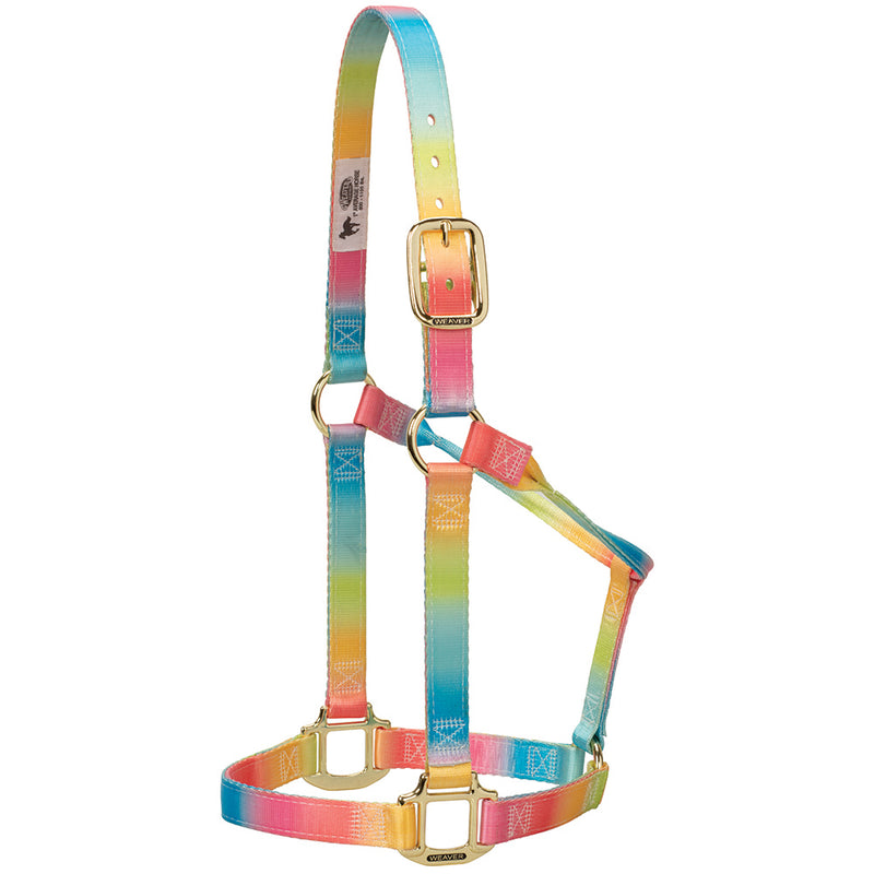 TKLH3060 Halter Leather Pony Rainbow