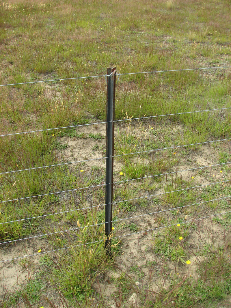 FETBAR-6 Posts T Bar Steel 6'