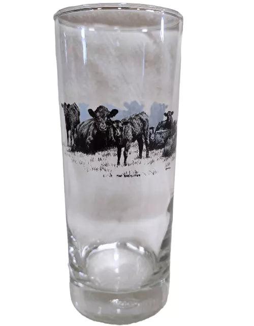 Bernie Brown - Highball Glass 6 piece