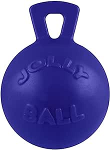 TK826-0410Horse Toy Ball Jolly 10" w/ handle