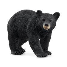 BG14869 Black Bear