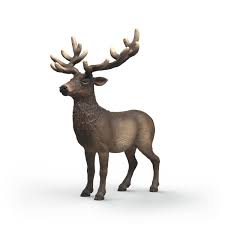 BG14992 Elk
