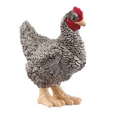 BG13997 Plymouth Rock Chicken