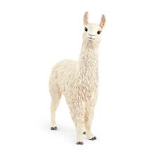 BG17086 Llama