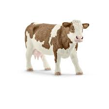 BG13801 Simmental Cow
