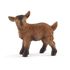 BG17087 Goat Kid