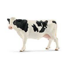 BG13797 Holstein Cow
