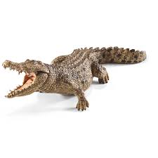 BG17002 Crocodile