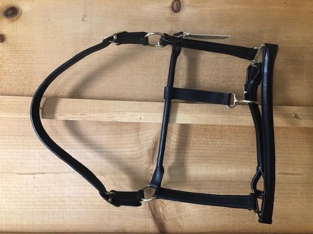 TKLH3564--Black Leather Show Halter Raised Padded- Full