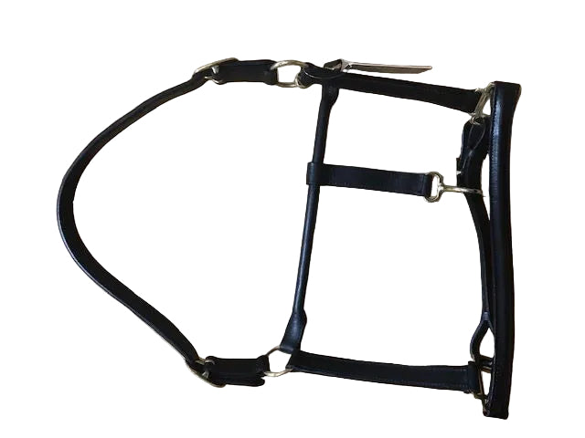 TKLH3564--Black Leather Show Halter Raised Padded- Full