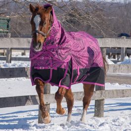 TK23506 Diablo Turnout 300G Blanket (Neck Included)