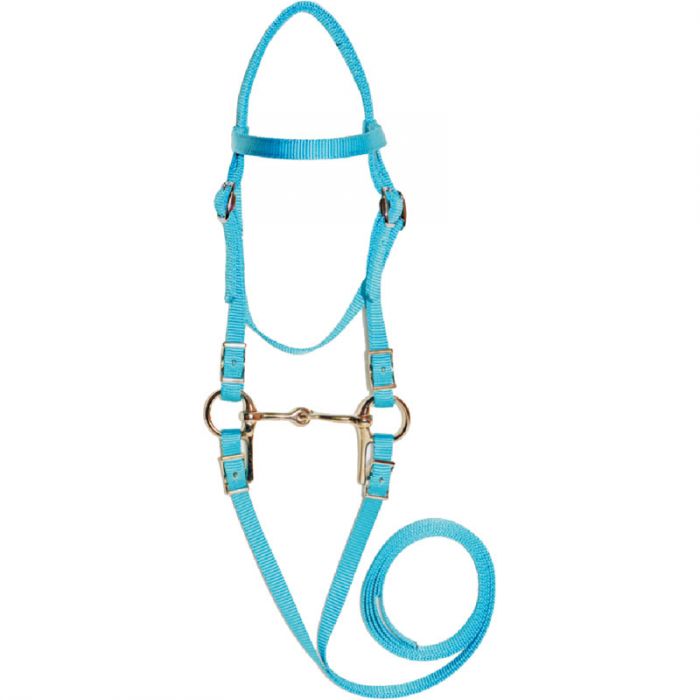 TK11150 Bridle & Reins Mini Nylon