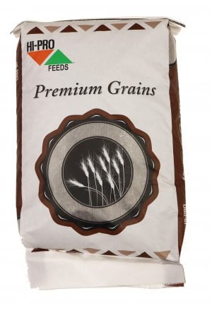 FSBEETPULP-Rapid Beet Pulp Rapid Ready 20kg