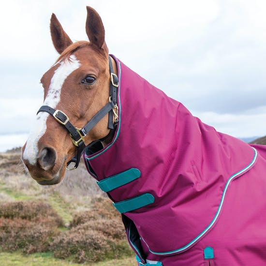 TK93003-Neck-M-Rasp 300G Highlander Neck Cover