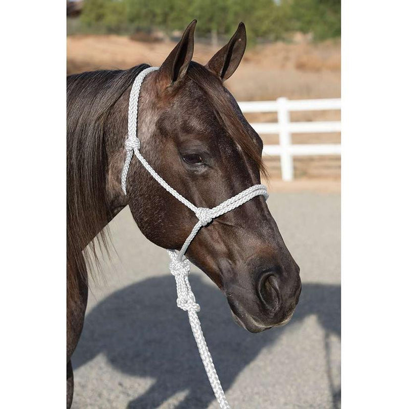 TKHHR--White Ranch Hand Halter w/Lead