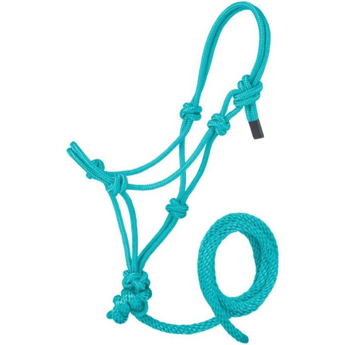TK16-601-Medium-Turq Halter Rope Miniature Poly w/Lead