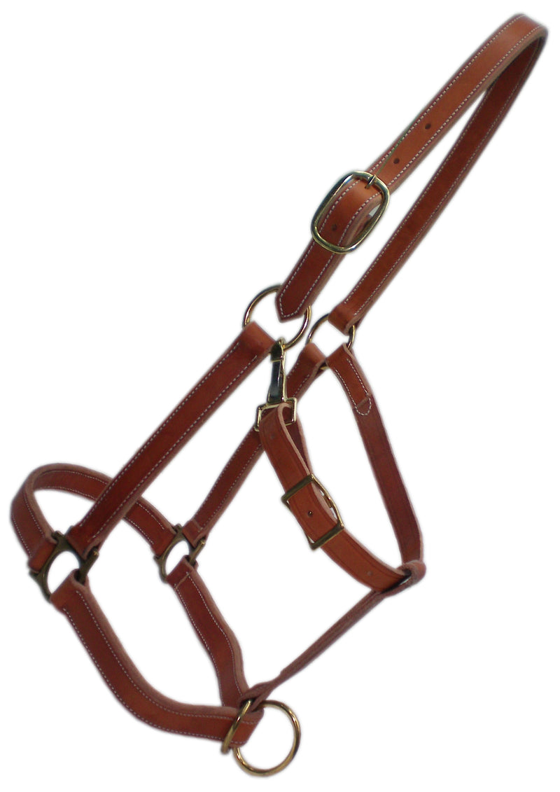 TK245BR-REG-Brown Halter Regular Nose Horse